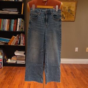 American Eagle Outfitters Flare Wide Leg Blue Jeans